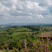 Buy canvas prints of View of Tuscany by Ranko Dokmanovic