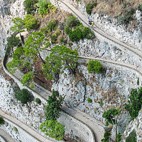 Buy canvas prints of Capri mountain road by Ranko Dokmanovic