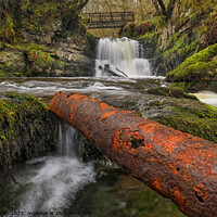 Buy canvas prints of Sychryd Waterfall, Brecon Beacons by Neil Holman