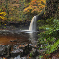 Buy canvas prints of Autumn Colours at Sgwd Gwladys Waterfall by Neil Holman