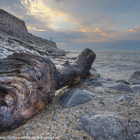 Buy canvas prints of Driftwood Sunrise at Porthcawl Pier by Neil Holman