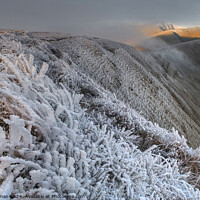 Buy canvas prints of Frozen at First Light up on the Bannau Brycheiniog by Neil Holman