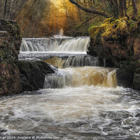 Buy canvas prints of Horseshoe Falls at Pontneddfechan  by Neil Holman