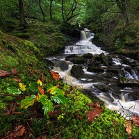 Buy canvas prints of Autumn at Melincourt Brook by Neil Holman