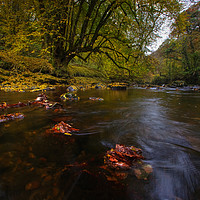 Buy canvas prints of Autumn on Nedd Fechan River, Pontneddfechan by Neil Holman