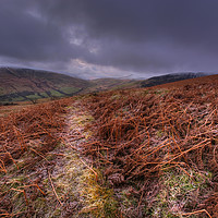 Buy canvas prints of Brecon Beacons by Neil Holman