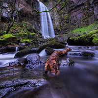 Buy canvas prints of Melincourt Waterfall by Neil Holman