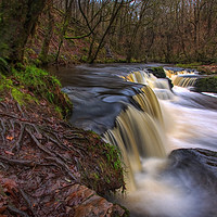 Buy canvas prints of Pontneddfechan Waterfall  by Neil Holman