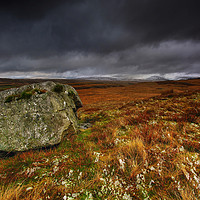 Buy canvas prints of A Brecon Beacons view from Cefn Cadlan  by Neil Holman