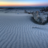 Buy canvas prints of Ripples and Driftwood, Aberthaw Beach by Neil Holman