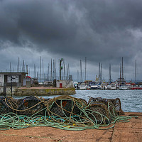 Buy canvas prints of Lobster, Pots, Torquay Harbour by Neil Holman