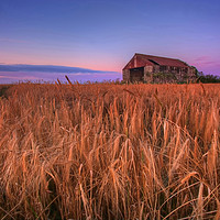 Buy canvas prints of Barley and Barn by Neil Holman