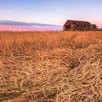 Buy canvas prints of Barley and Barn, Vale of Glamorgan by Neil Holman