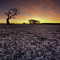 Buy canvas prints of Frosty Morning Sunrise, Tythegston by Neil Holman