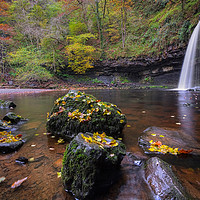 Buy canvas prints of Autumn at Sgwd Gwladus Waterfall  by Neil Holman