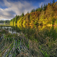 Buy canvas prints of Cantref Reservoir, Brecon Beacon  by Neil Holman
