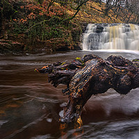 Buy canvas prints of Scwd Tarddiant Waterfall, Brecon Beacons  by Neil Holman