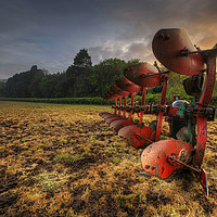 Buy canvas prints of Agricultural Sunrise by Neil Holman