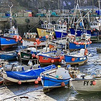 Buy canvas prints of Mevagissey Harbour, Cornwall at  Low Tide by Elvia Worrall
