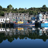 Buy canvas prints of Reflections, Tarbert Harbour, Loch Fyne, Scotland by Elvia Worrall