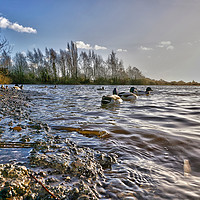 Buy canvas prints of Low Level Lake View by Simon Annable