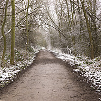 Buy canvas prints of Winter Trail by Simon Annable
