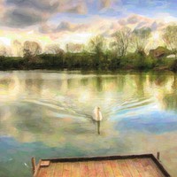 Buy canvas prints of Swan Lake by Simon Annable