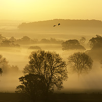 Buy canvas prints of a leicestershire sunrise by Caroline Burton