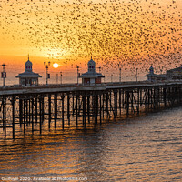 Buy canvas prints of Starlings at Sunset by Caroline James