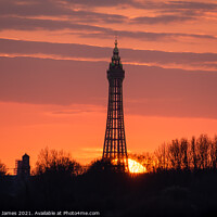 Buy canvas prints of Blackpool Tower Sunset  by Caroline James