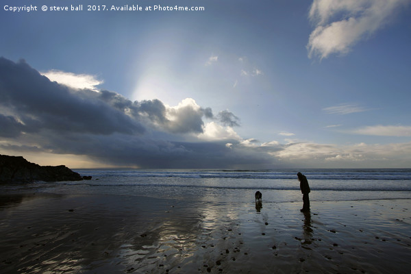 Dog walking on Caswell beach in winter Picture Board by steve ball