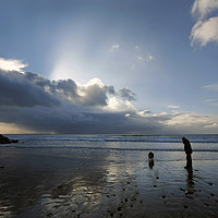 Buy canvas prints of Dog walking on Caswell beach in winter by steve ball