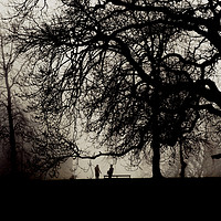 Buy canvas prints of Meeting in a misty park by steve ball