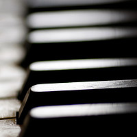 Buy canvas prints of Old piano keys close up by steve ball