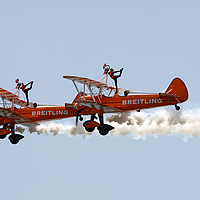 Buy canvas prints of Wing walkers  by steve ball