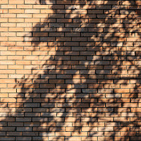 Buy canvas prints of tree shadow on brick wall by Gennady Kurinov