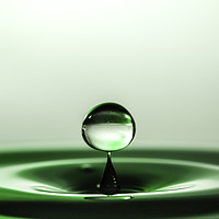 Buy canvas prints of Little green water drop by Paul Allen