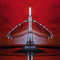 Buy canvas prints of a mirrored image of a water drop collision by Paul Allen
