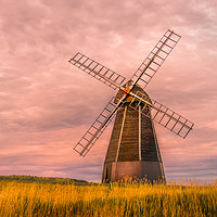 Buy canvas prints of Rottingdean Windmill  by Pablo Rodriguez