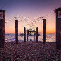 Buy canvas prints of Brighton Starlings Murmuration by Pablo Rodriguez