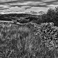Buy canvas prints of Dry Stone Wall Black And White by Carl Blackburn