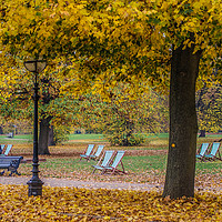 Buy canvas prints of Seasonal Relaxation by Zac Magner