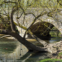 Buy canvas prints of Ancient bridge with three arches by Joy Walker