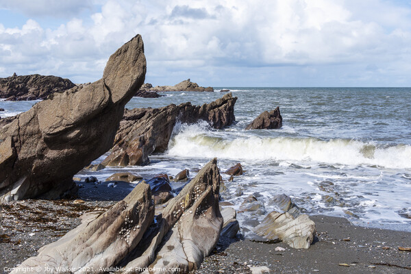 Rocks on Ilfracombe Beach, Devon, England, UK Picture Board by Joy Walker