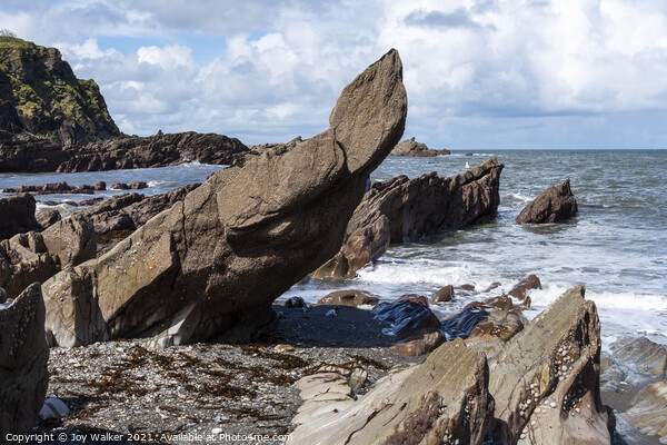 Rocks on Ilfracombe Beach, Devon, England, UK Picture Board by Joy Walker
