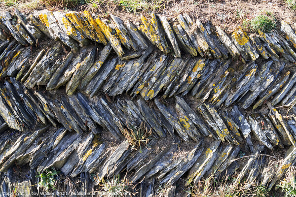 Dry stone wall in Cornwall, England, UK Picture Board by Joy Walker