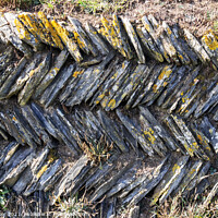 Buy canvas prints of Dry stone wall in Cornwall, England, UK by Joy Walker