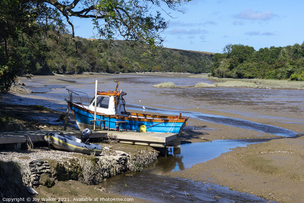 A small fishing boat moored while the tide is out Picture Board by Joy Walker
