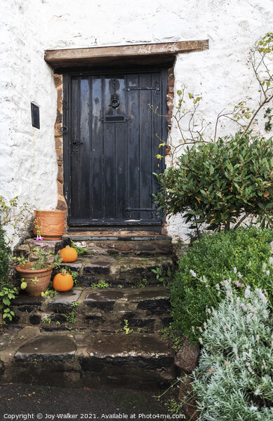 Old cottage door with pumpkins outside, Minehead, Somerset, UK Picture Board by Joy Walker