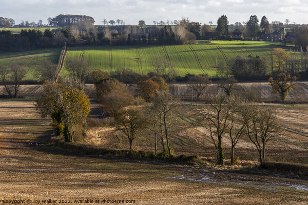 Rural landscape, Northamptonshire, England, UK Picture Board by Joy Walker